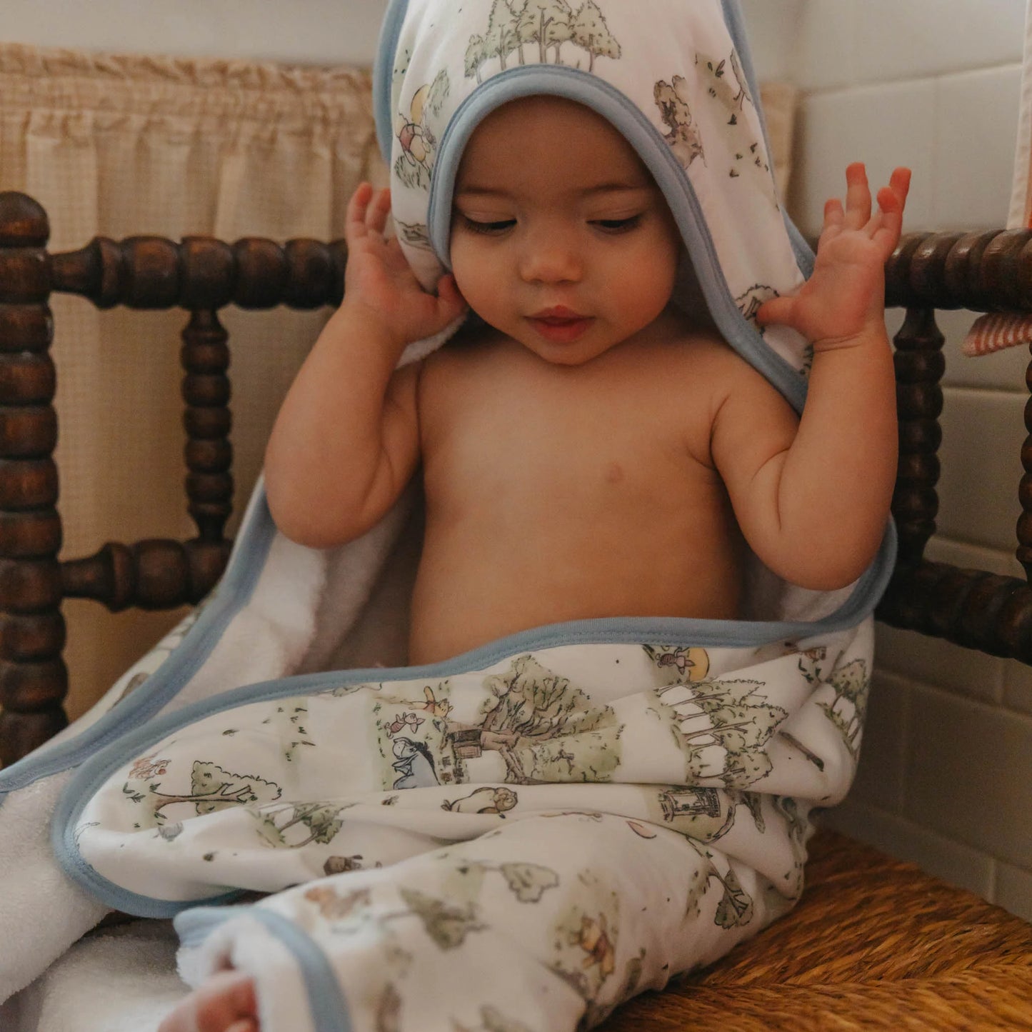 Hundred Acre Wood Hooded Towel