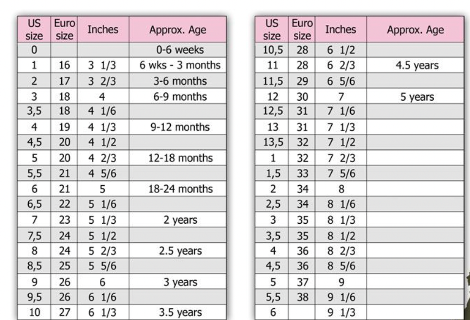 Palm Blue Inglesa Canvas Shoe
