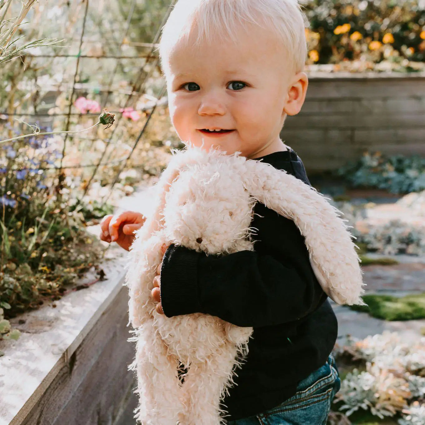 Harey The Bunny Rabbit