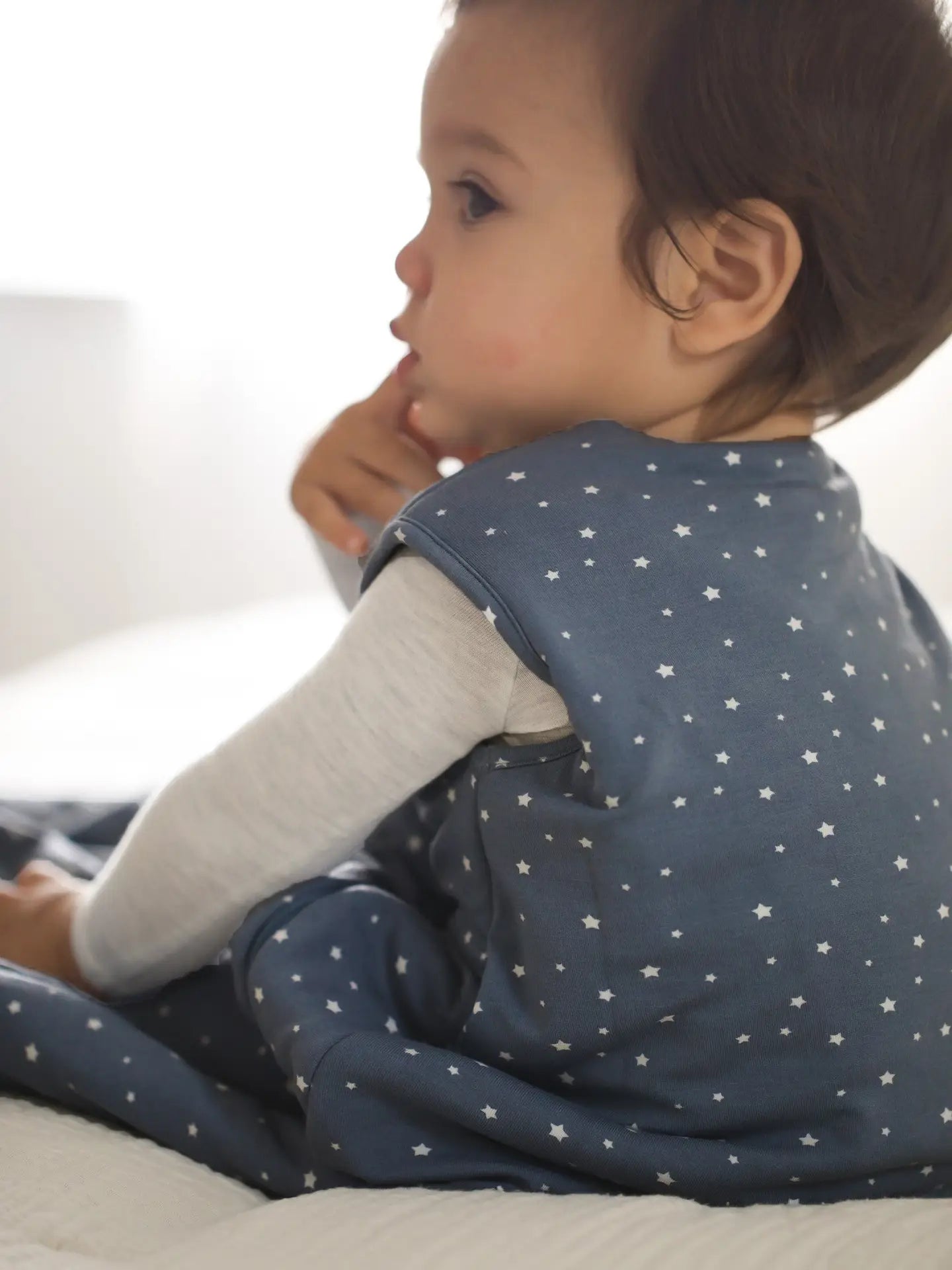 Dream 2.5 Sleep Bag