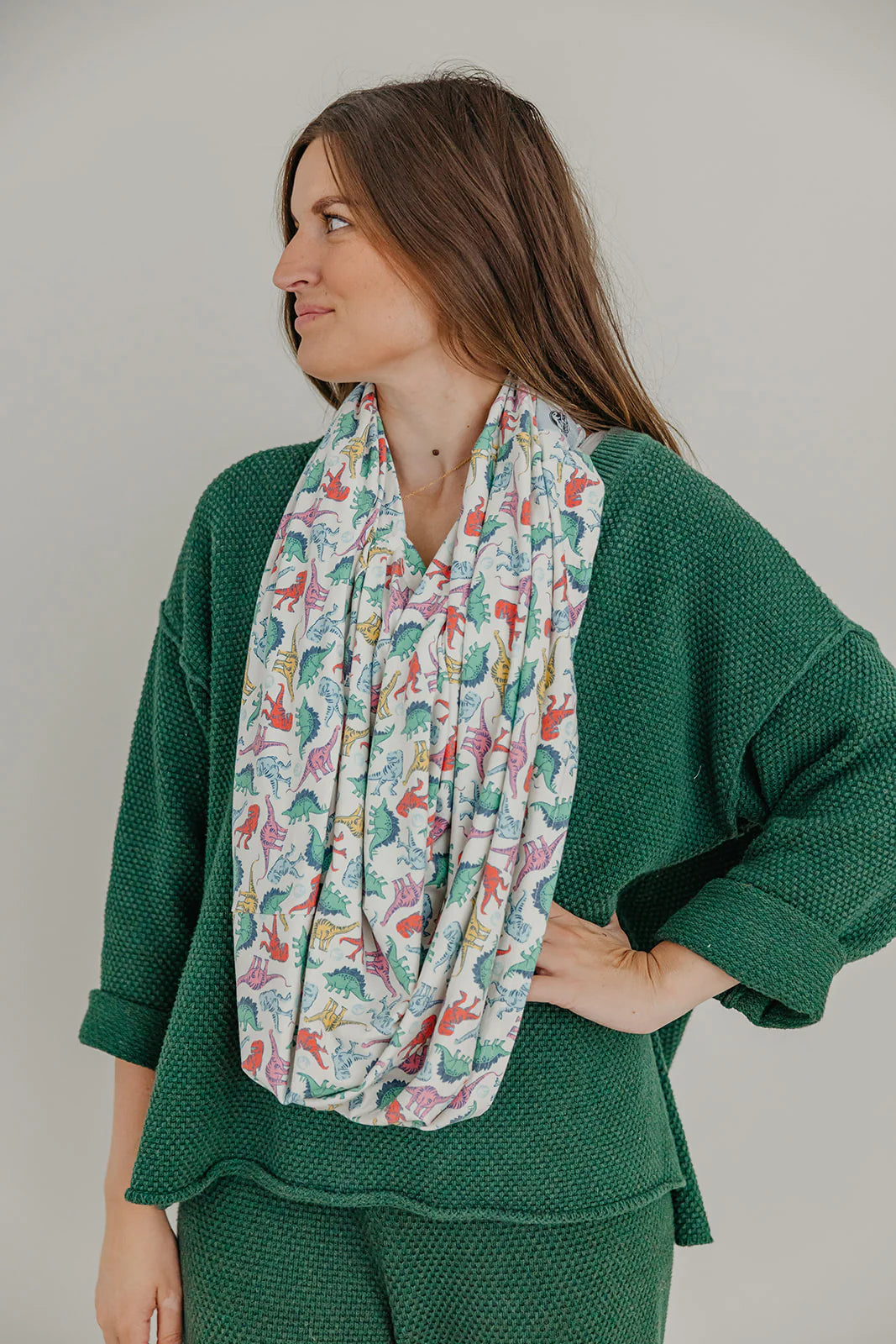 DIno of Jurassic Multi Use Cover