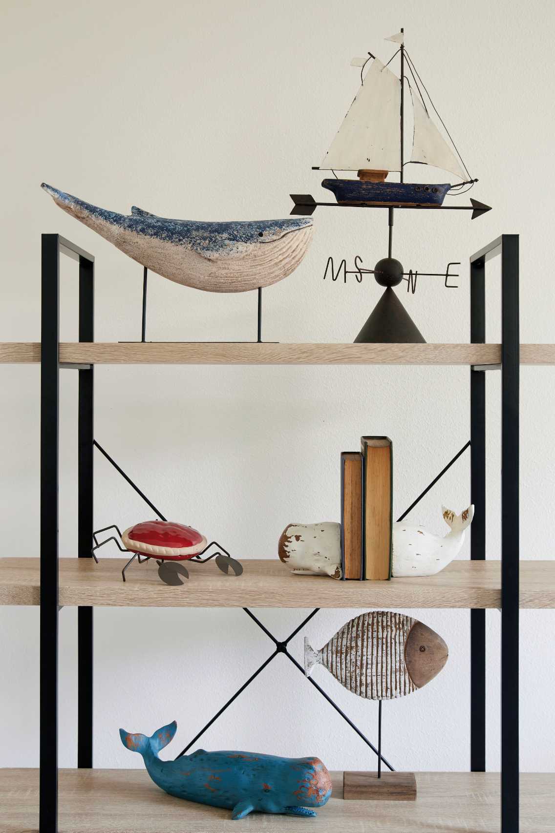 Sperm Whale Bookend