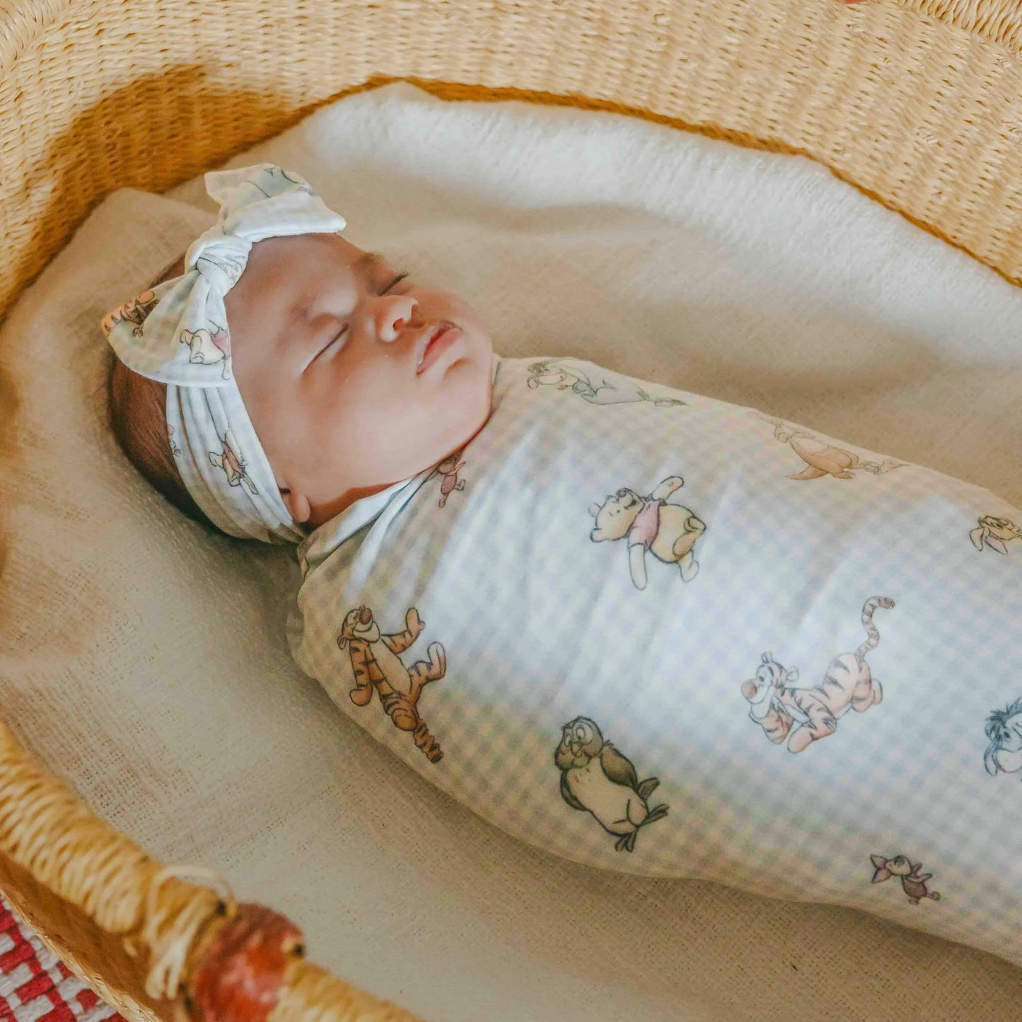 Winnie the Pooh & Friends Swaddle