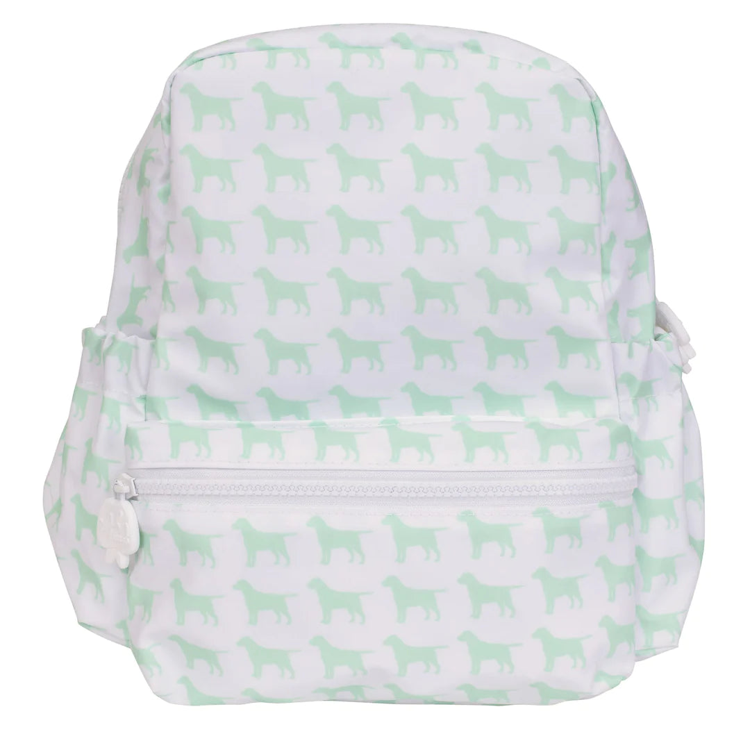 Small Dogs Small Backpack