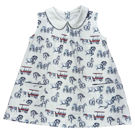 Horse Carriage Pocket Twirl Dress