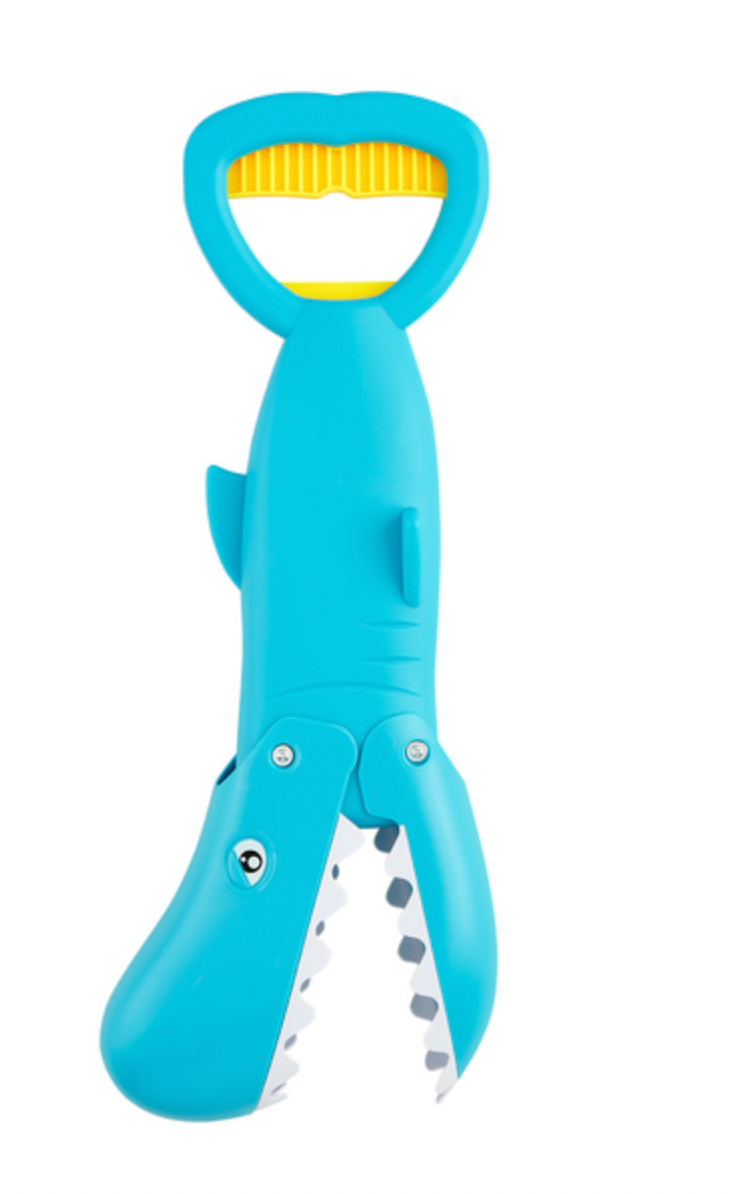 Blue Shark Beach Scoop