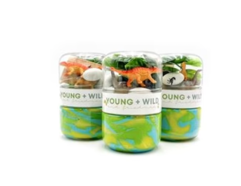 Dinosaur Grab & Go Dough