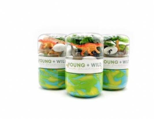 Dinosaur Grab & Go Dough