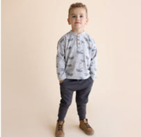 Airplane Organic Henley Tee