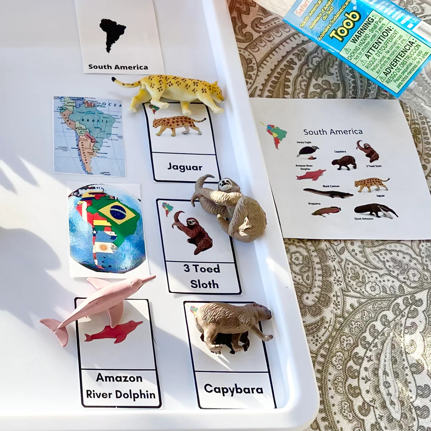 South American Animal Figurines TOOB®