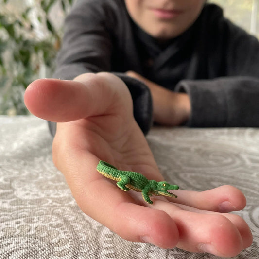 Wild America Fun Pack