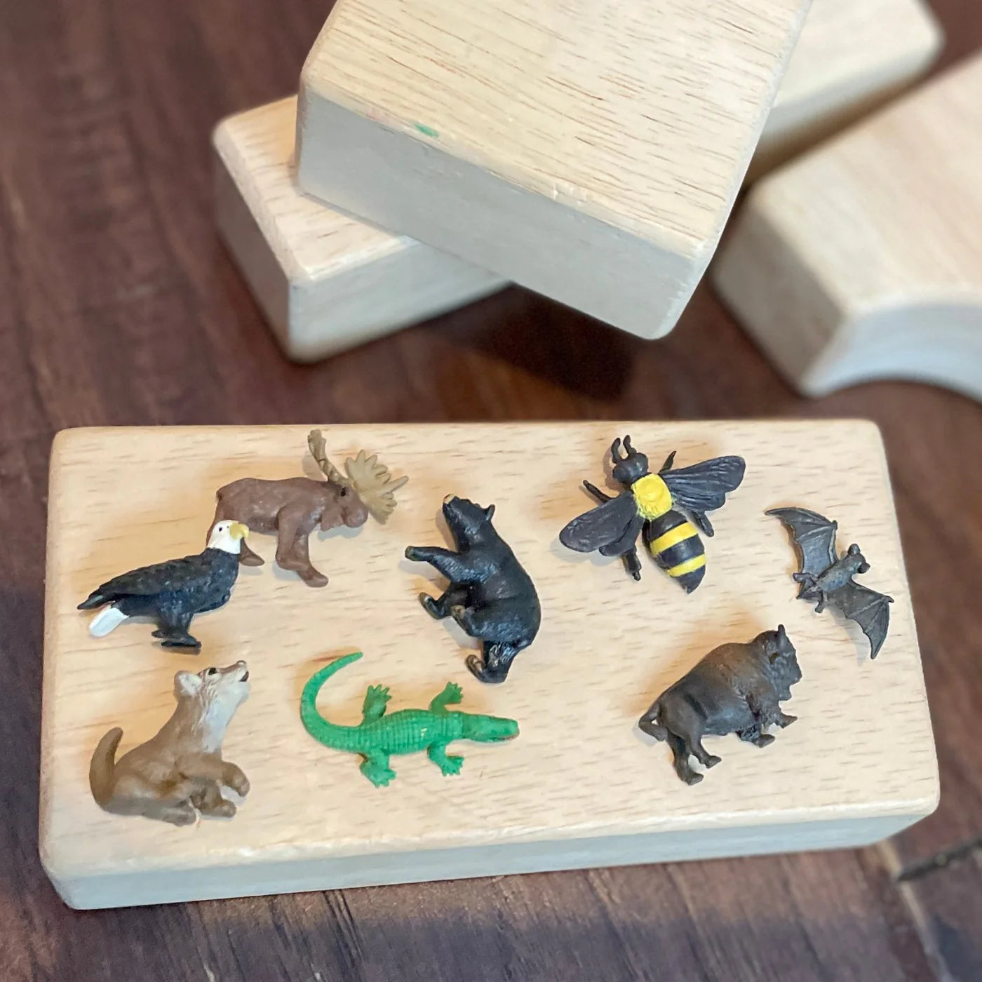 Wild America Fun Pack