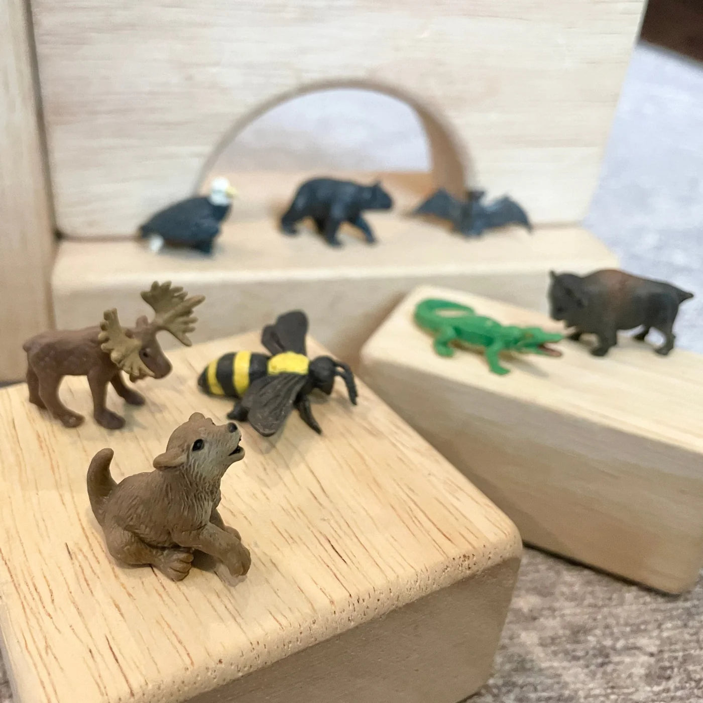 Wild America Fun Pack