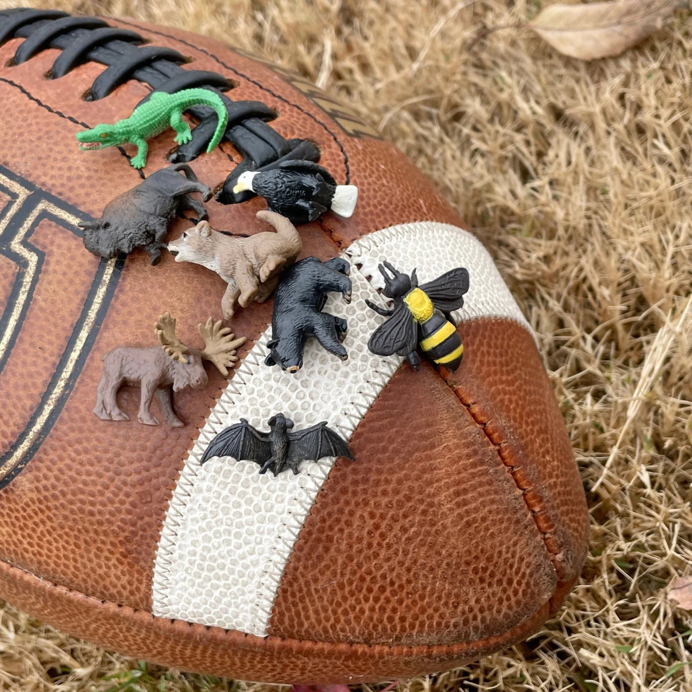 Wild America Fun Pack