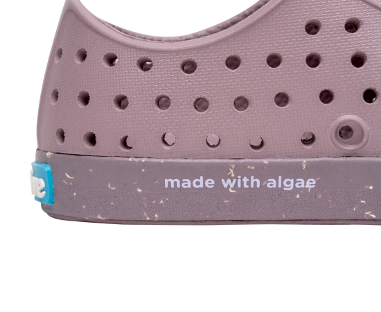 Wildflower PurpSpeckles Jefferson Bloom