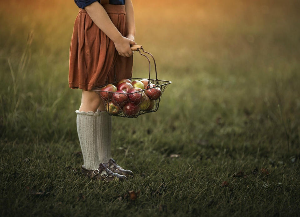 Brown Beatrix English Double TStrap Leather MJ