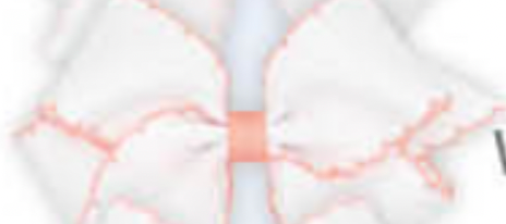 Medium Classic Grosgrain Moonstitch Hair Bow
